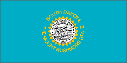 State Flag